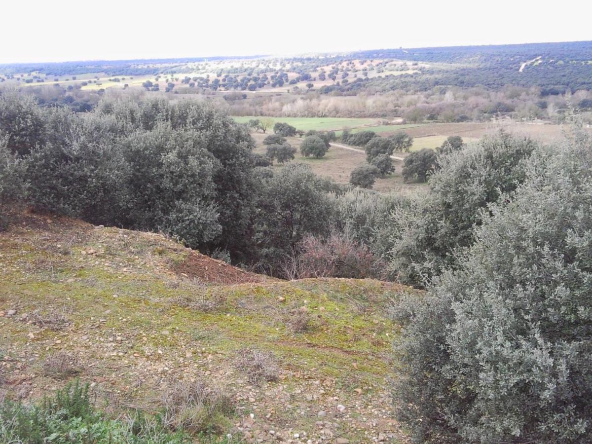 Posada La Reja Malpica de Tajo 外观 照片