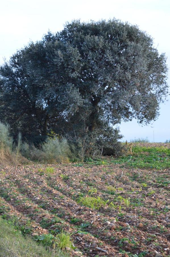Posada La Reja Malpica de Tajo 外观 照片